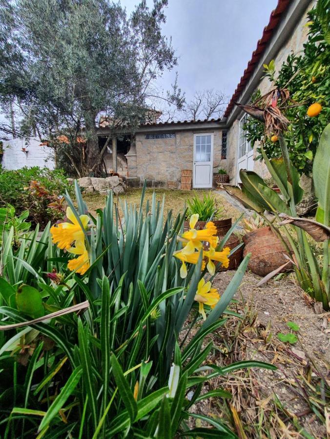 Villa Casa Da Poca Baião Esterno foto